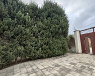 Abşeron rayonu , Novxanı qəs., 5 otaq