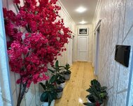 Abşeron rayonu , Masazır qəs., 3 otaq