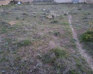 Sabunçu rayonu , Maştağa qəs., 2500 sot