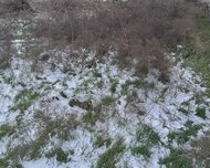 Abşeron rayonu , Masazır qəs., 1 otaq