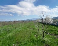 Quba ş., Torpaq , 126 sot