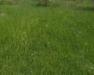 Abşeron rayonu , Mehdiabad qəs., 1 otaq