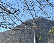 Qəbələ ş., Torpaq , 5 otaq