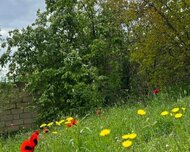 Gəncə ş., Torpaq , 1 otaq