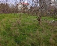 Lənkəran ş., Torpaq , 6 sot