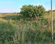 İsmayıllı ş., Torpaq , 2 otaq