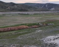 Şamaxı ş., Obyekt / Ofis , 2 otaq