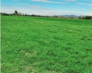 Abşeron rayonu , Saray qəs., 40 sot