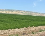 Hacıqabul ş., Torpaq , 1 otaq