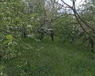 Bərdə ş., Torpaq , 14 sot