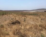 Abşeron rayonu , Novxanı qəs., 1 otaq