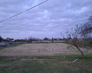 Sabirabad ş., Torpaq , 35 sot