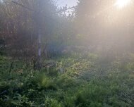 İsmayıllı ş., Həyət evi / Villa , 6 otaq