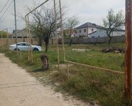 Xəzər rayonu , 6 sot