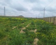 Sabunçu rayonu , Maştağa qəs., 100 sot