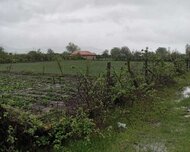 Oğuz ş., Torpaq , 12 sot