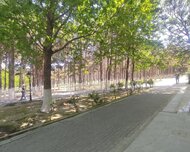 Xırdalan ş., Obyekt / Ofis , 2 otaq
