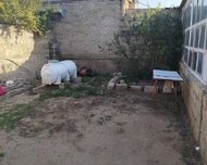 Sabunçu rayonu , Maştağa qəs., 2 otaq