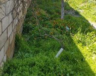 Abşeron rayonu , Saray qəs., 1 otaq