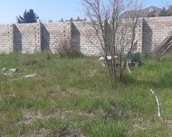 Sabunçu rayonu , Maştağa qəs., 1 otaq