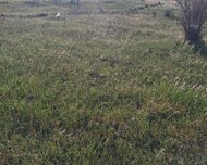 Sabunçu rayonu , Nardaran qəs., 12 sot