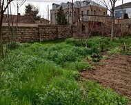 Səbail rayonu , Badamdar qəs., 7 sot