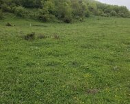 Şamaxı ş., Torpaq , 4 otaq
