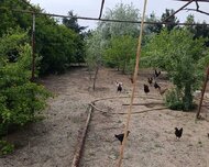 Sabunçu rayonu , Bilgəh qəs., 9 sot