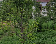 Qusar ş., Həyət evi / Villa , 2 otaq