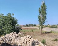 Sabunçu rayonu , Nardaran qəs., 25 sot