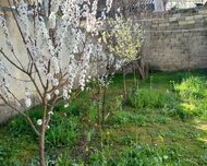 Binəqədi rayonu , Biləcəri qəs., 2 otaq