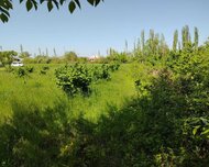 Xaçmaz ş., Torpaq , 10 sot