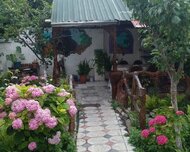 Qax ş., Həyət evi / Villa , 3 otaq