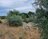 Xəzər rayonu , Buzovna qəs., 8 sot