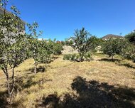 Xəzər rayonu , Buzovna qəs., 4 sot