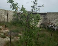 Suraxanı rayonu , Hövsan qəs., 2 otaq