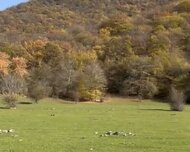 Oğuz ş., Torpaq , 1 otaq