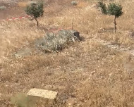 Səbail rayonu , Badamdar qəs., 6 sot