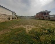 Xəzər rayonu , Buzovna qəs., 8 sot