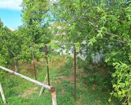 Abşeron rayonu , Novxanı qəs., 7 otaq