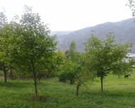 İsmayıllı ş., Torpaq , 1 otaq