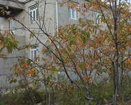 Xəzər rayonu , Buzovna qəs., 7 otaq