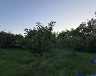 Qusar ş., Torpaq , 12 sot