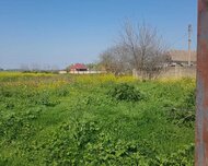Masallı ş., Həyət evi / Villa , 5 otaq
