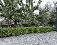 Sabunçu rayonu , Nardaran qəs., 5 otaq