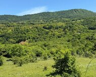 Quba ş., Torpaq , 1 otaq