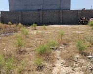 Sabunçu rayonu , Kürdəxanı qəs., 12 sot