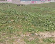 Suraxanı rayonu , Qaraçuxur qəs., 9 otaq