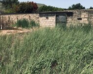 Sabunçu rayonu , Bilgəh qəs., 20 sot