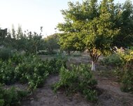 Sabunçu rayonu , Maştağa qəs., 1 otaq